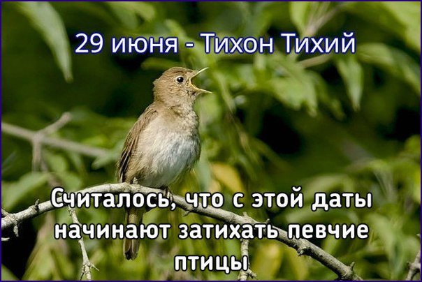 Тихон Тихий   29 июня