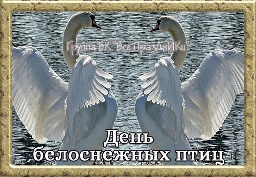 День белоснежных птиц 14 января