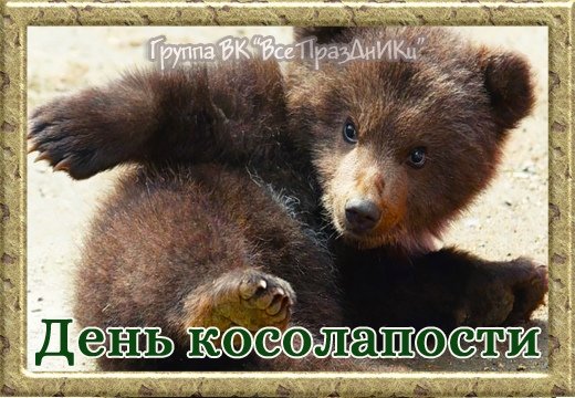 Всемирный день косолапости 3 июня