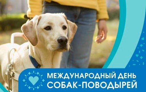 Международный день собак-поводырей 24 апреля