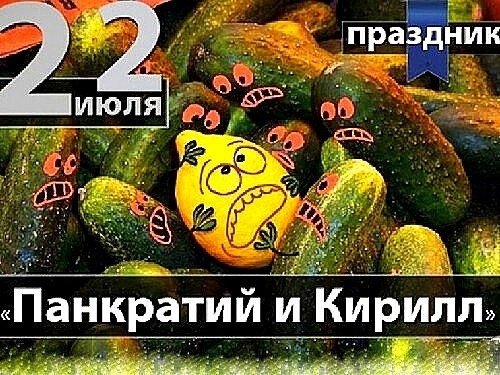 Панкратий и Кирилл   22 июля