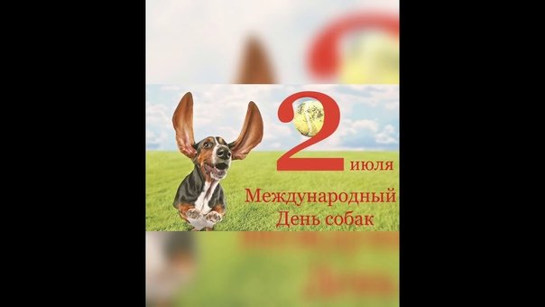 Всемирный день собаки 2 июля