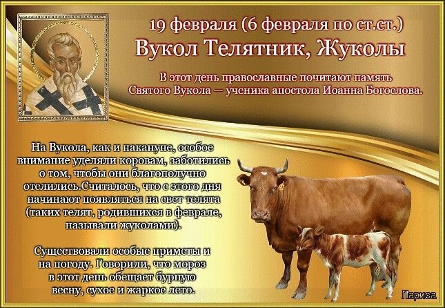 Вукол Телятник (Жуколы)   19 февраля