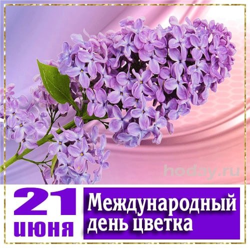 Международный день цветка 21 июня