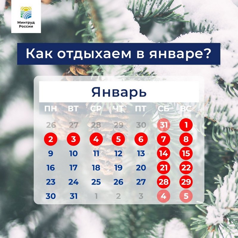 Новогодние каникулы 8 день 8 января