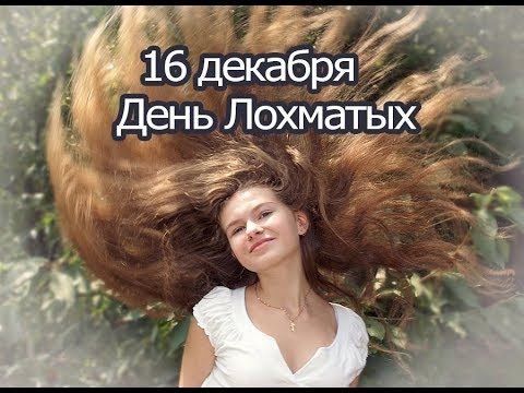 День лохматых 16 декабря