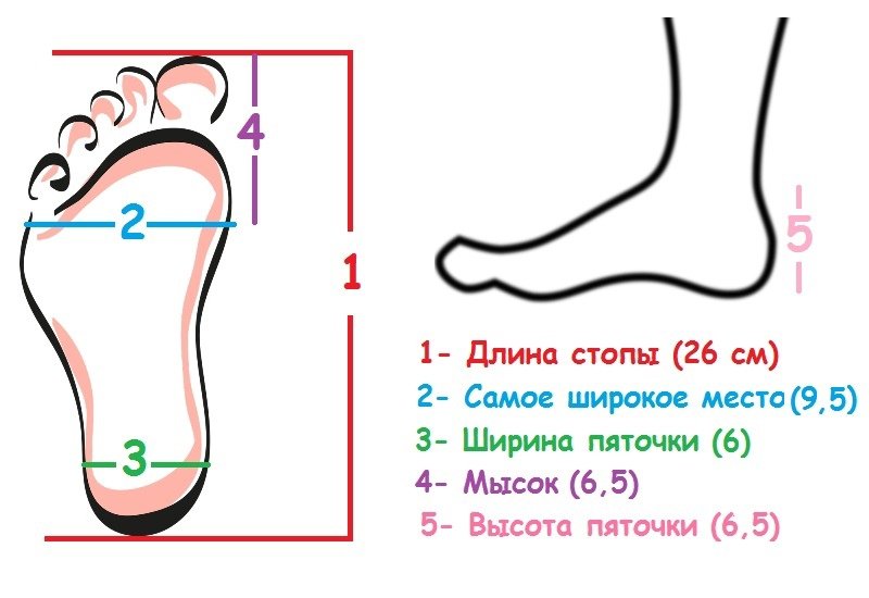 День измерения своей стопы 23 января