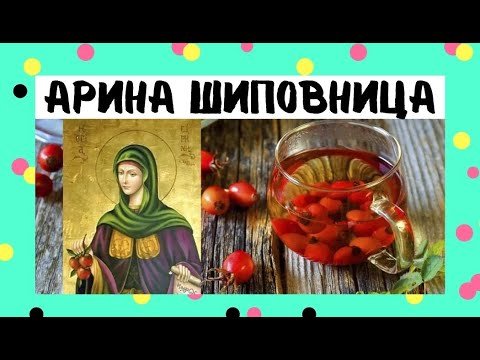 Арина Шиповница   1 октября