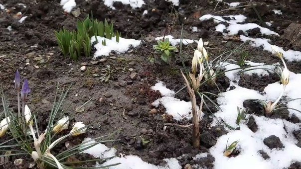 День встречи ветра с Южного Полюса 17 марта