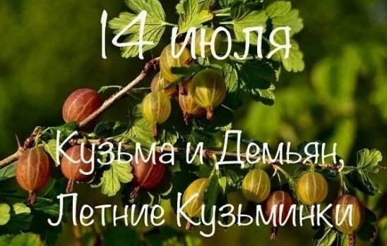 Кузьминки летние   14 июля