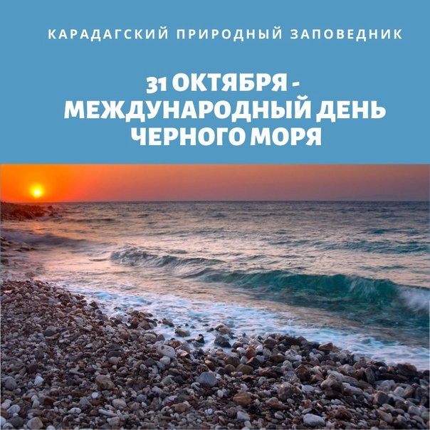 Международный день Черного моря 31 октября