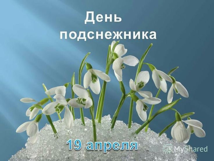 День подснежника 19 апреля