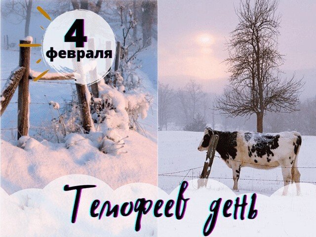 Тимофеев день   4 февраля