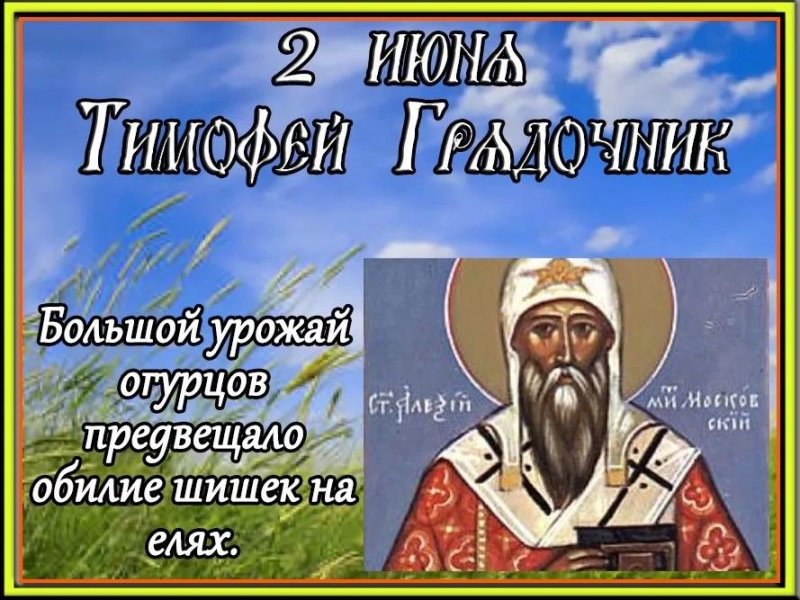 Тимофей Грядочник   2 июня