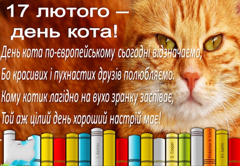 День кота – Польша 17 февраля