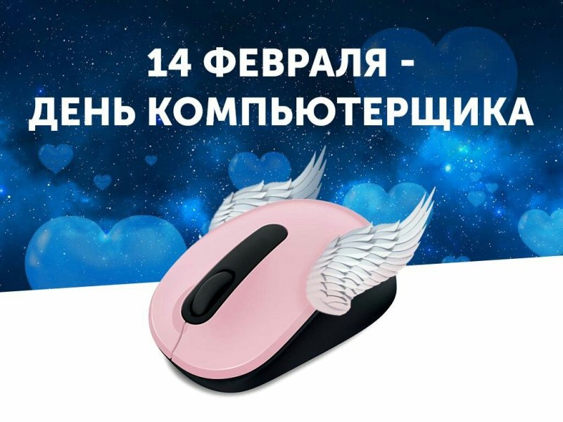 День компьютерщика   14 февраля