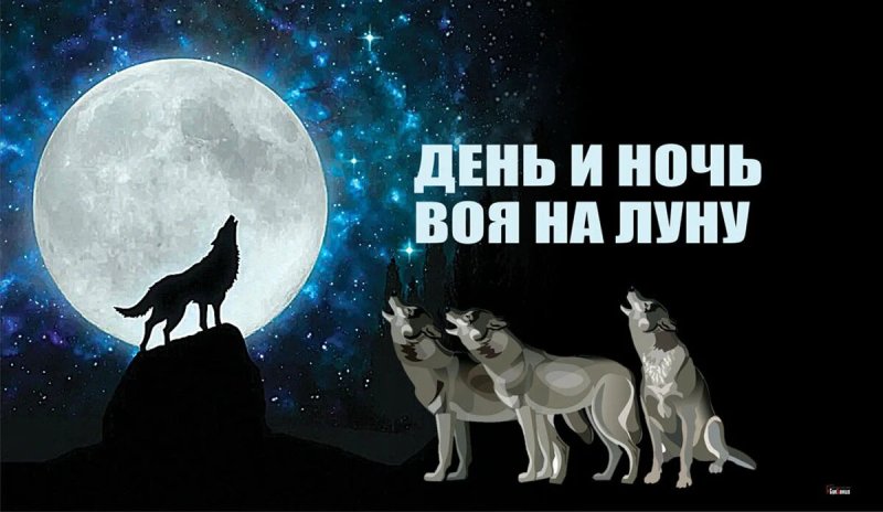 День и ночь воя на луну 26 октября