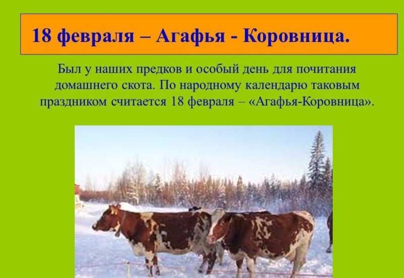 Агафья Коровница   18 февраля