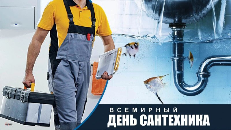 Всемирный день сантехника 19 ноября