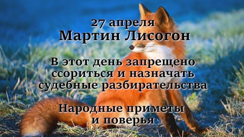 Мартын Лисогон   27 апреля