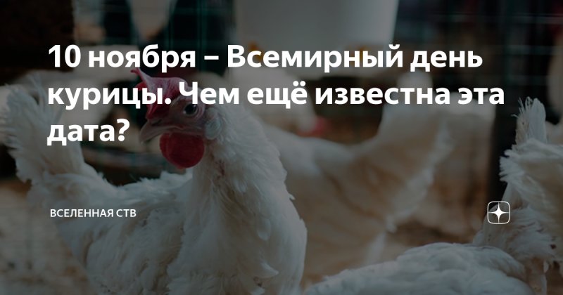 Всемирный день курицы 9 ноября