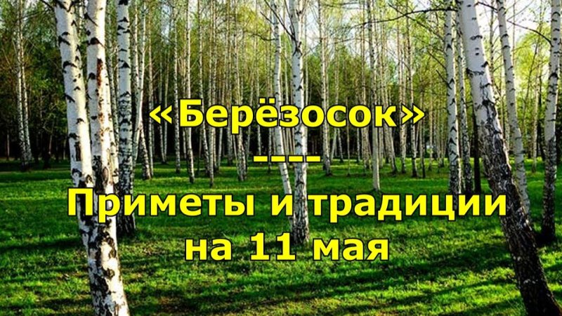 Березосок   11 мая