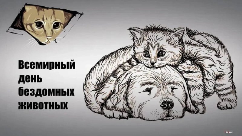 Всемирный день бродячих животных 4 апреля