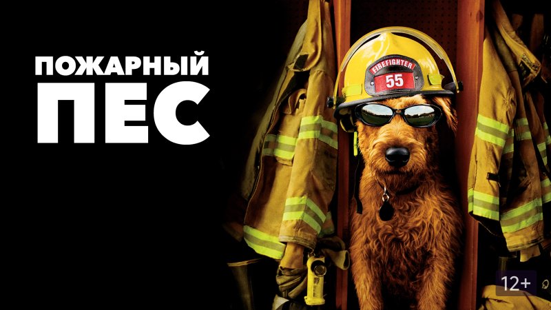 День пожарного щенка 1 октября